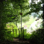 DSC01520