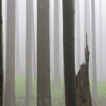 IMG_3493